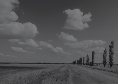 Wright Prospecting v Hancock Prospecting: Lessons for Family Enterprise Succession and Shareholder Disputes